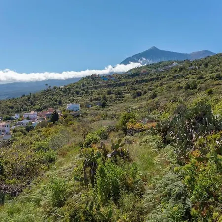 Amalia's House, Tenerife Prázdninový dům Genovés
